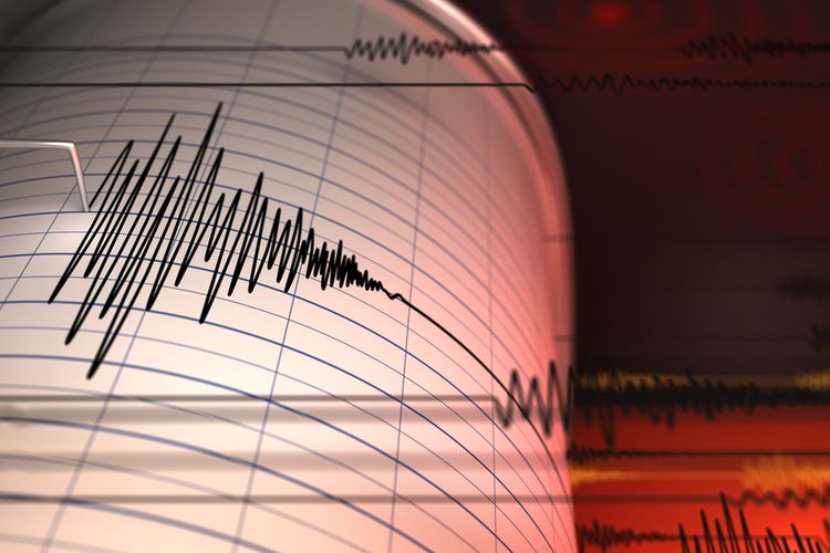 Gempa Bumi di Kota Kendari, Getarannya Hingga di Kabupaten Konawe dan Kolaka